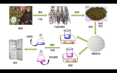 蘊藏自然的奧秘 工業植物提取物作為緩蝕劑的研究與應用