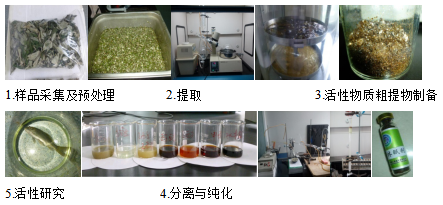 從魚到草 水產品無水活運與工業植物提取的跨界啟示